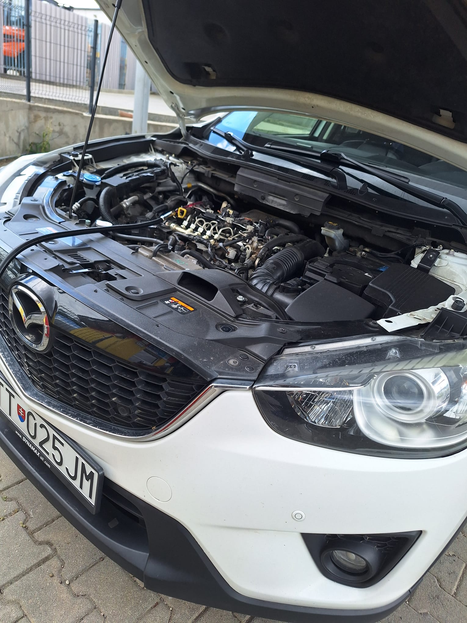 Car engine bay
